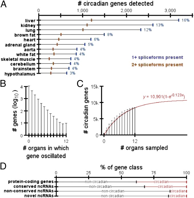 Open-access figure from the 2014 mouse circadian atlas paper showing circadian genes across multiple organs.
