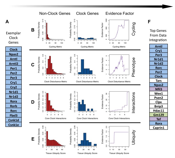 Open-access figure from the 2014 CHRONO paper showing machine-learning evidence across clock and non-clock genes.