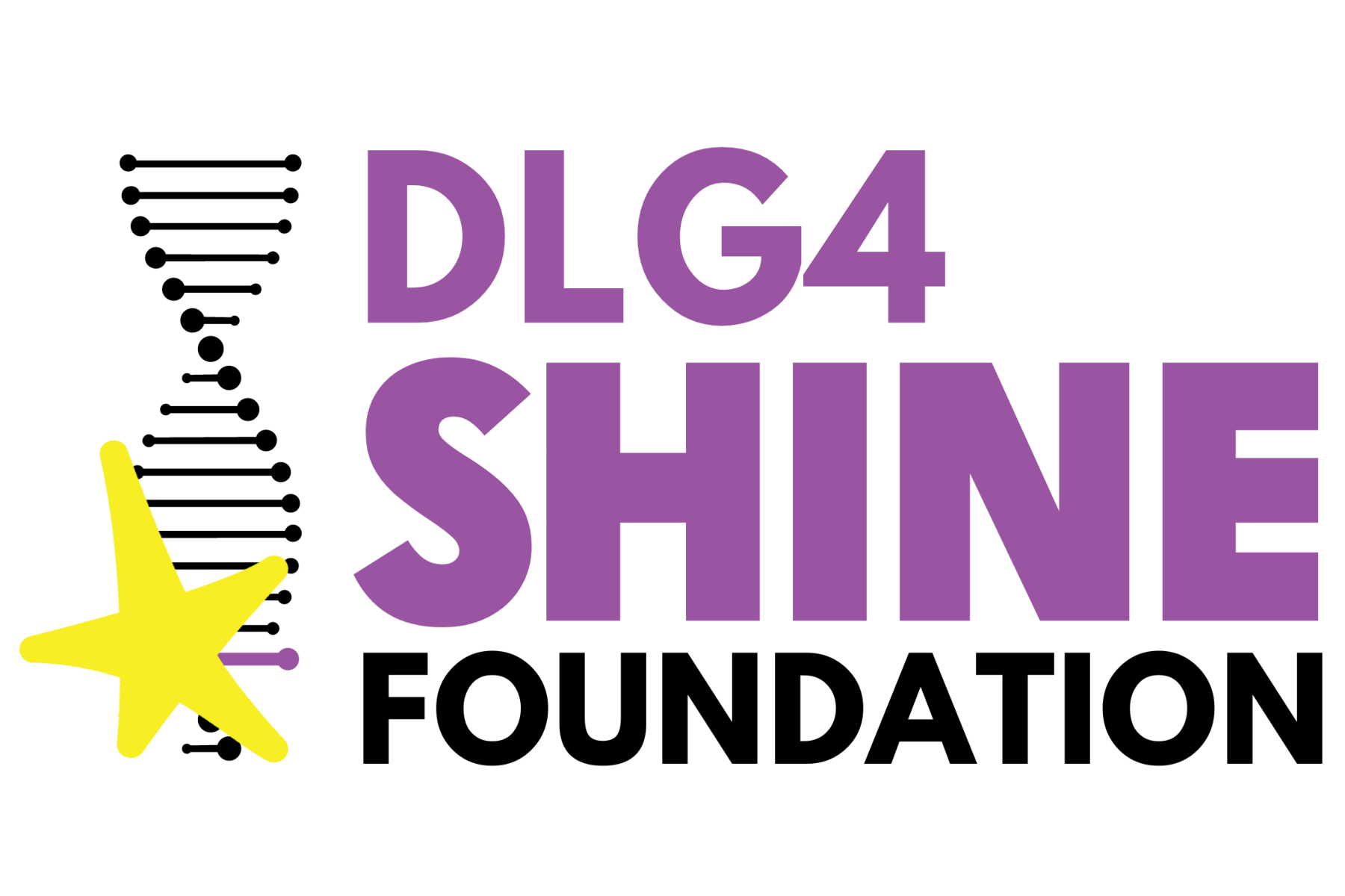 DLG4 SHINE Foundation logo